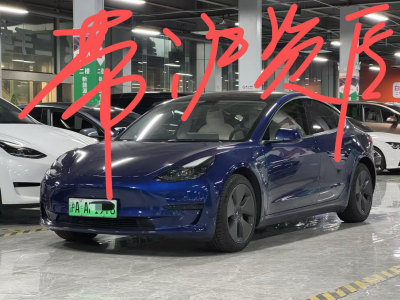 2021年12月 特斯拉 Model 3 標(biāo)準(zhǔn)續(xù)航后驅(qū)升級版 3D6圖片