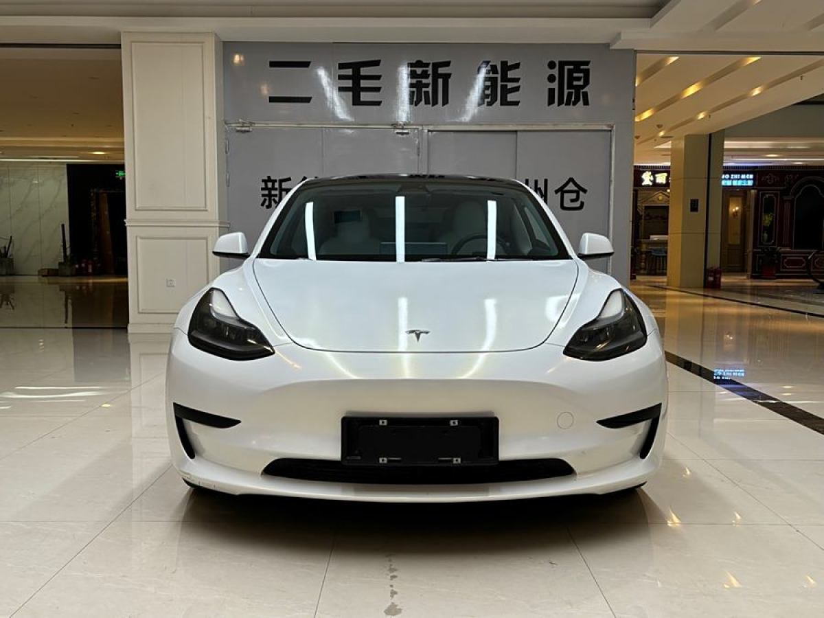 2022年3月特斯拉 Model 3  2022款 改款 后輪驅(qū)動(dòng)版