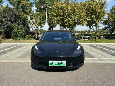 2023年1月 特斯拉 Model S 三電機全輪驅(qū)動 Plaid版圖片