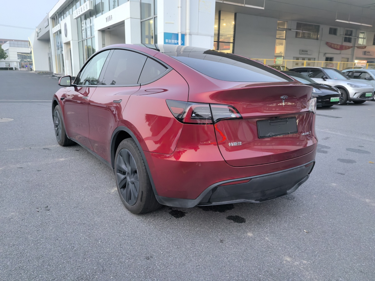 特斯拉 Model Y  2020款 改款 長(zhǎng)續(xù)航后輪驅(qū)動(dòng)版圖片