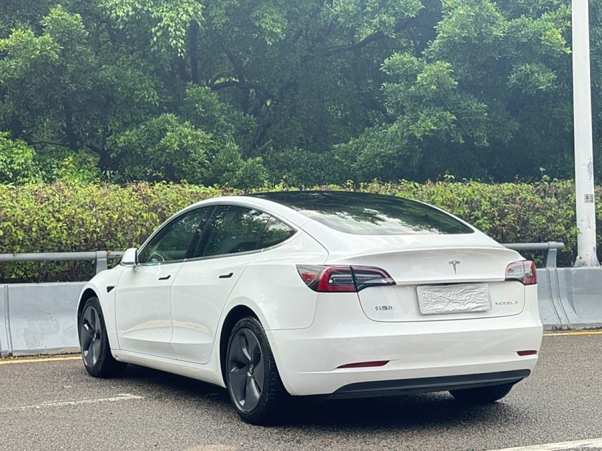 特斯拉 Model Y  2020款 改款 標準續(xù)航后驅升級版圖片