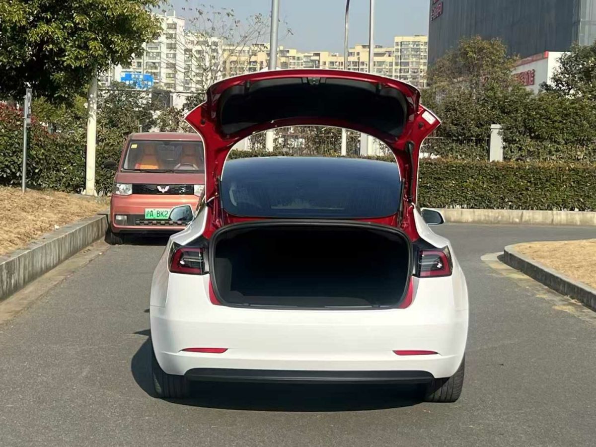 特斯拉 Model X  2020款 Performance 高性能版圖片