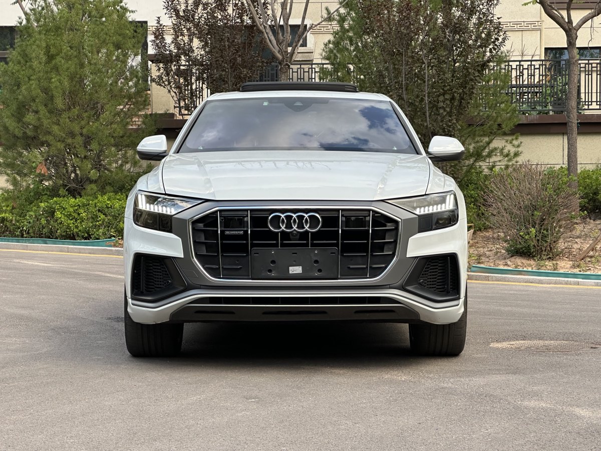 2019年10月奧迪 奧迪Q8  2019款 55 TFSI 至尊限量版