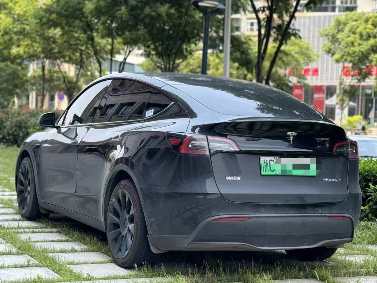 特斯拉 Model Y  2022款 Performance高性能全輪驅(qū)動版圖片