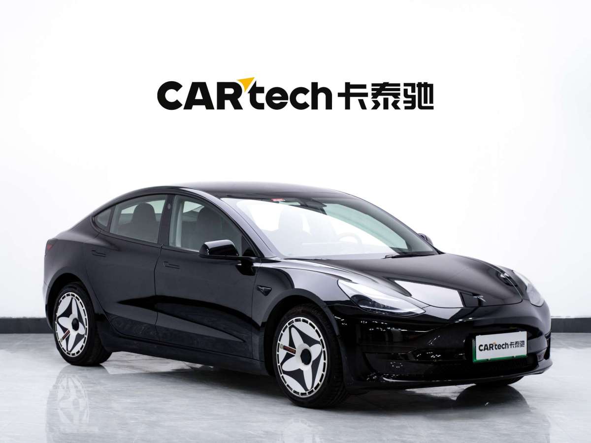 特斯拉 Model 3  2019款 標(biāo)準(zhǔn)續(xù)航后驅(qū)升級(jí)版圖片