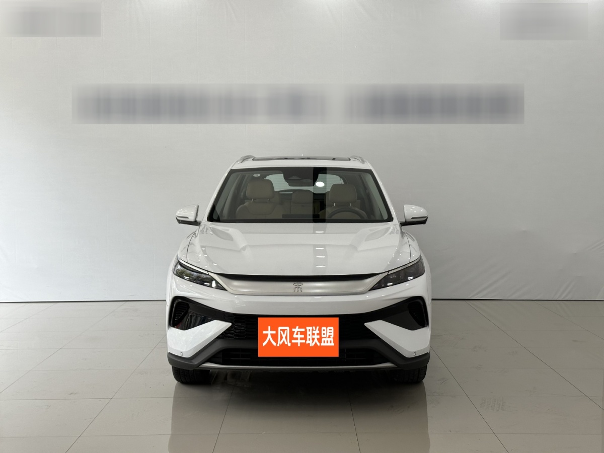 比亞迪 宋Pro新能源  2025款 DM-i 115KM超越型圖片