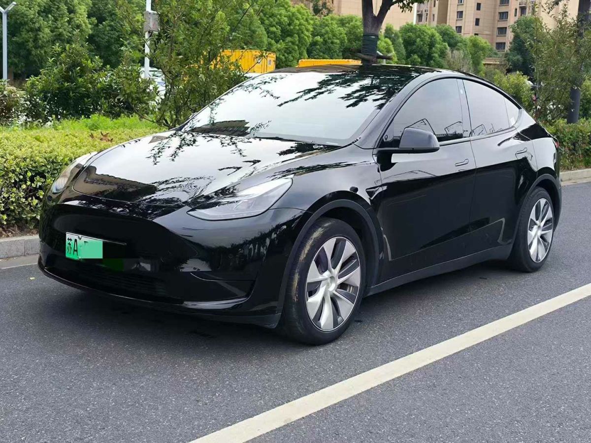 特斯拉 Model Y  2022款 Performance高性能全輪驅(qū)動版圖片