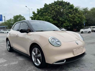 2021年6月 歐拉 歐拉好貓 400km標(biāo)準(zhǔn)續(xù)航 維納斯版圖片