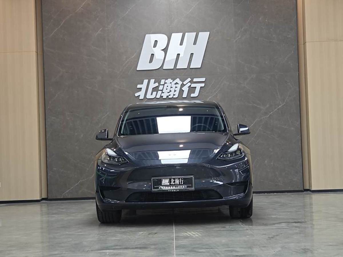 特斯拉 Model Y  2020款 改款 長續(xù)航后輪驅(qū)動版圖片