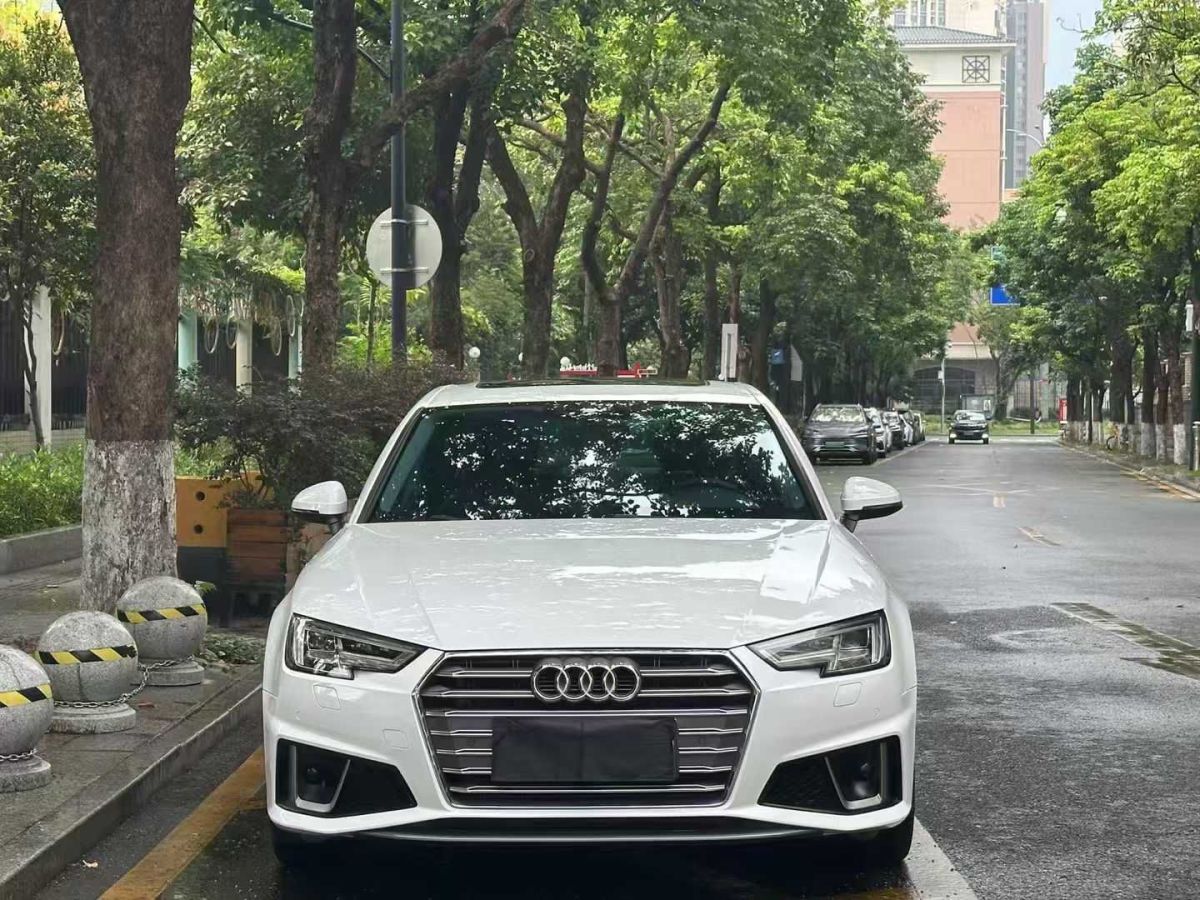奧迪 奧迪A4L  2018款 30周年年型 30 TFSI 進取型圖片