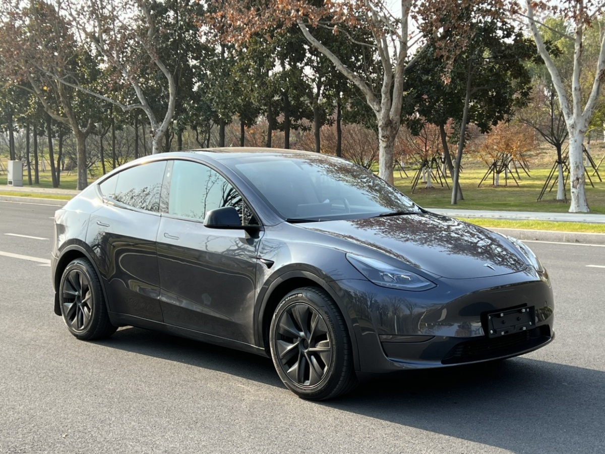 特斯拉 Model Y  2024款 長續(xù)航全輪驅動版圖片