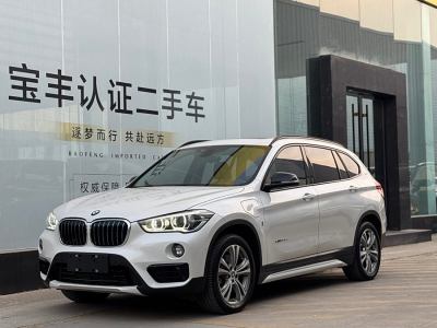 2018年6月 寶馬 寶馬X1新能源 xDrive25Le 豪華型圖片