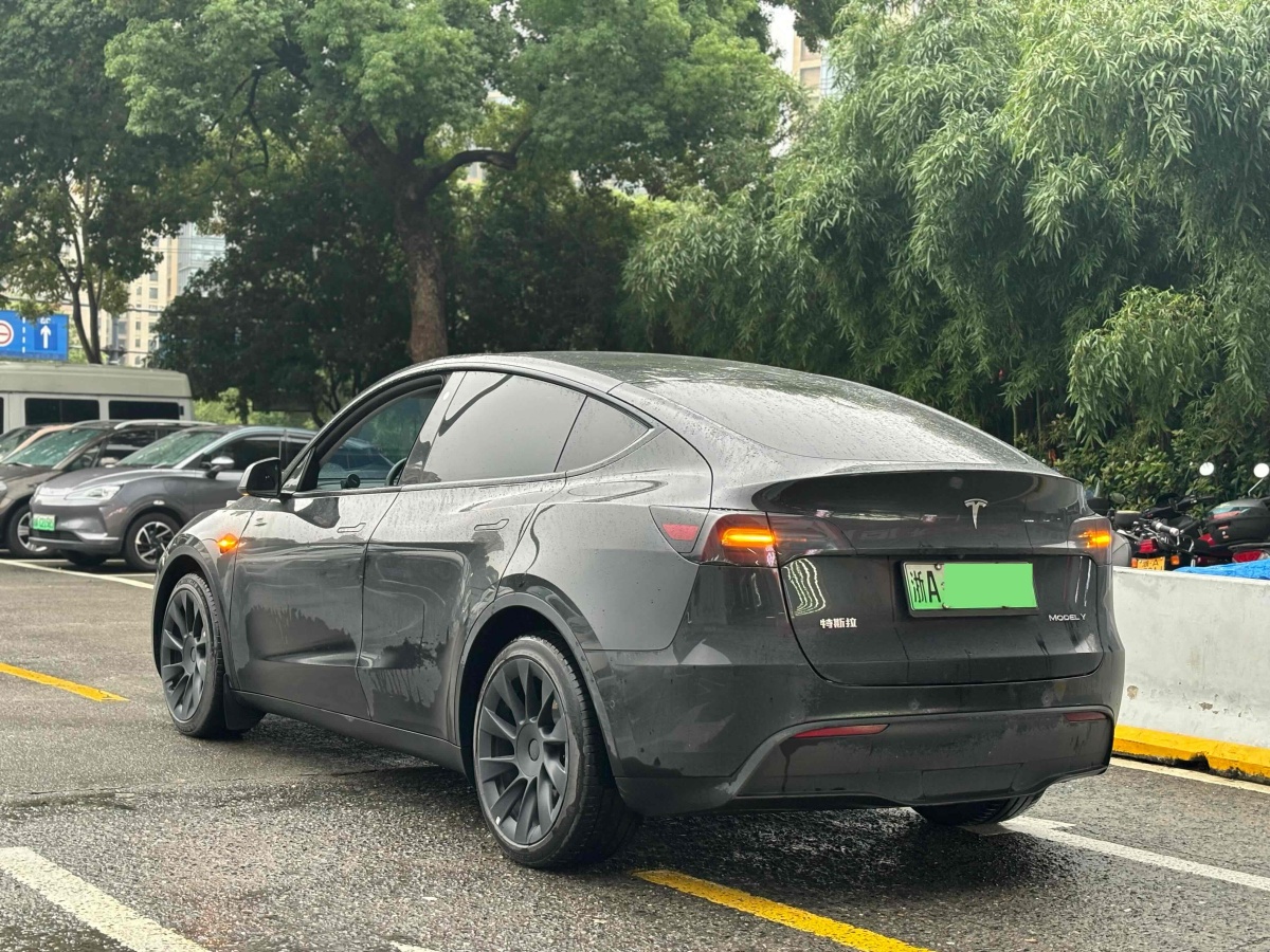 特斯拉 Model Y  2021款 改款 標(biāo)準(zhǔn)續(xù)航后驅(qū)升級(jí)版圖片