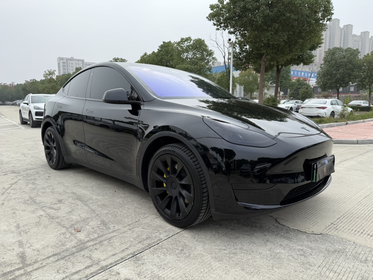 特斯拉 Model Y  2021款 改款 標(biāo)準(zhǔn)續(xù)航后驅(qū)升級(jí)版圖片