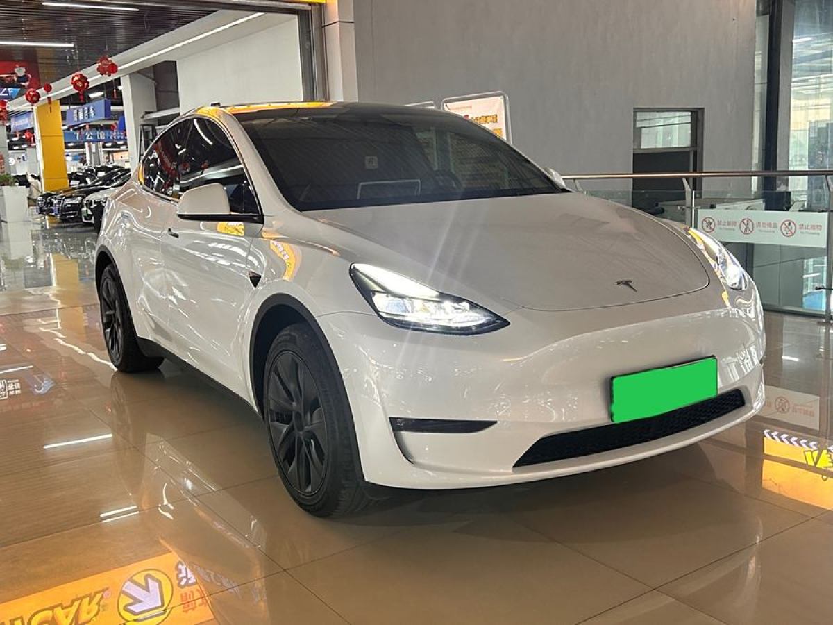 2024年2月特斯拉 Model 3  2023款 長(zhǎng)續(xù)航煥新版 雙電機(jī)全輪驅(qū)動(dòng)