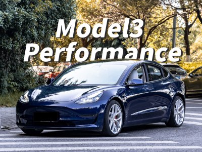 2021年1月 特斯拉 Model 3 Performance高性能全轮驱动版图片