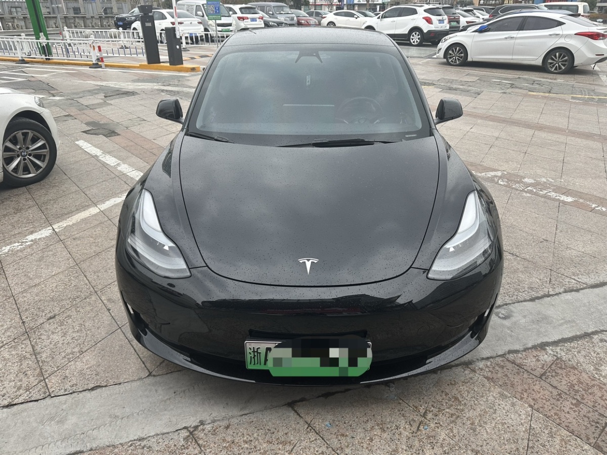 特斯拉 Model 3  2021款 標(biāo)準(zhǔn)續(xù)航后驅(qū)升級(jí)版 3D6圖片