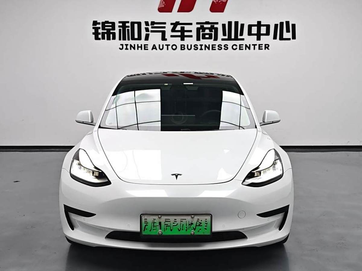 特斯拉 Model 3  2019款 标准续航后驱升级版图片