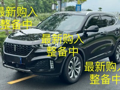 2019年1月 WEY VV6 2.0T 四驱旗舰型图片