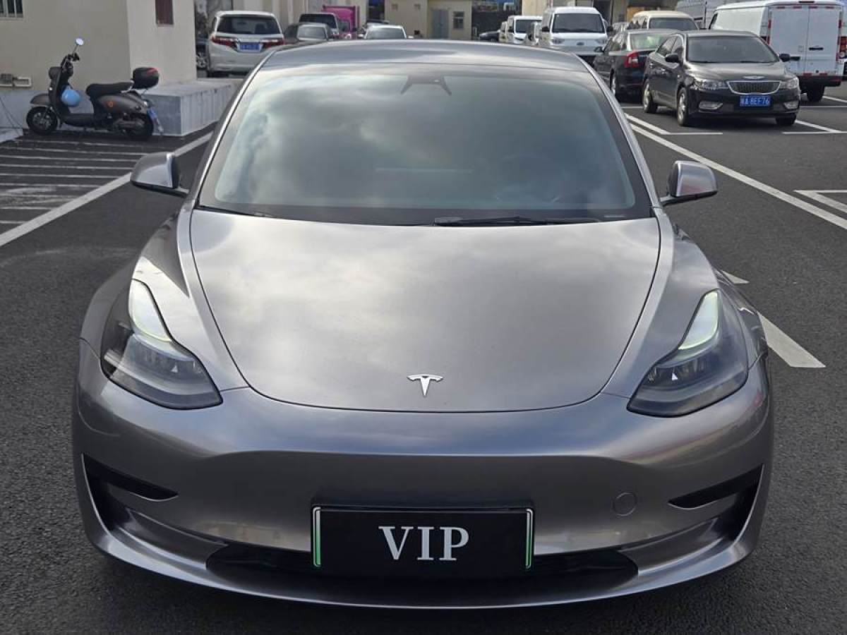 特斯拉 Model 3  2021款 標(biāo)準(zhǔn)續(xù)航后驅(qū)升級版 3D6圖片