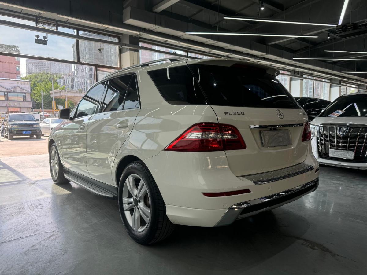 奔馳 奔馳M級  2005款 ML 350圖片