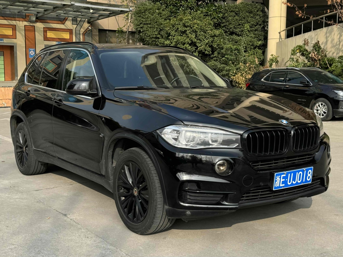 寶馬 寶馬X5  2014款 xDrive35i 領(lǐng)先型圖片