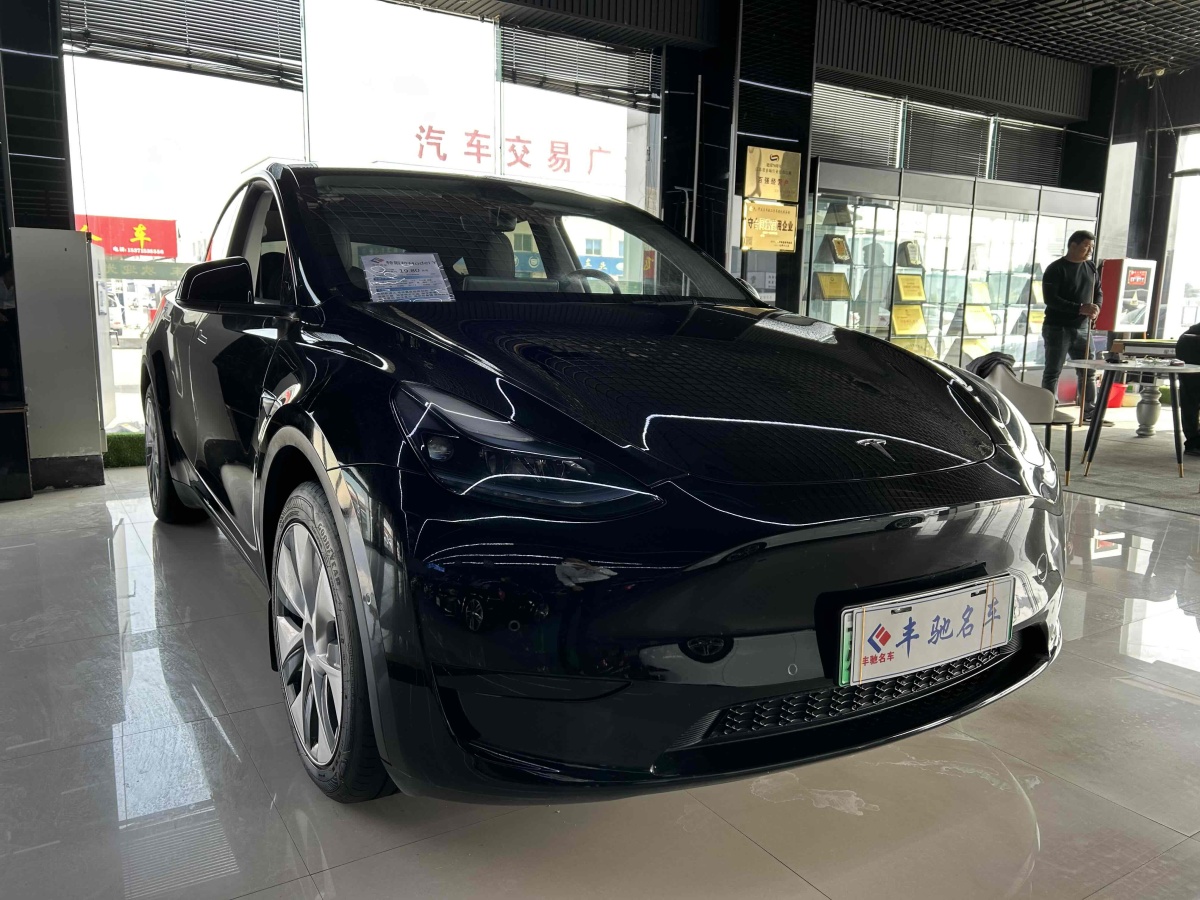 特斯拉 Model Y  2020款 改款 長(zhǎng)續(xù)航后輪驅(qū)動(dòng)版圖片