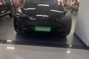 Model 3 特斯拉 后轮驱动版