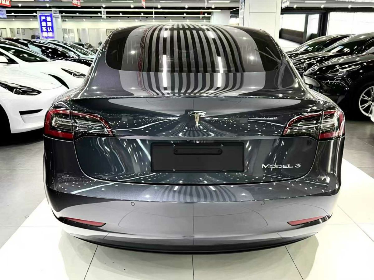 特斯拉 Model 3  2020款 標準續(xù)航后驅(qū)升級版圖片