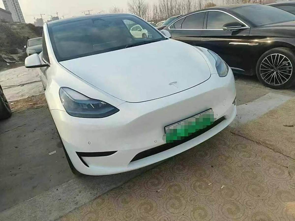 特斯拉 Model 3  2020款 改款 長續(xù)航后輪驅(qū)動(dòng)版圖片