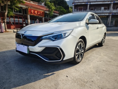 2021年1月 啟辰 D60EV 標準續(xù)航智行版圖片