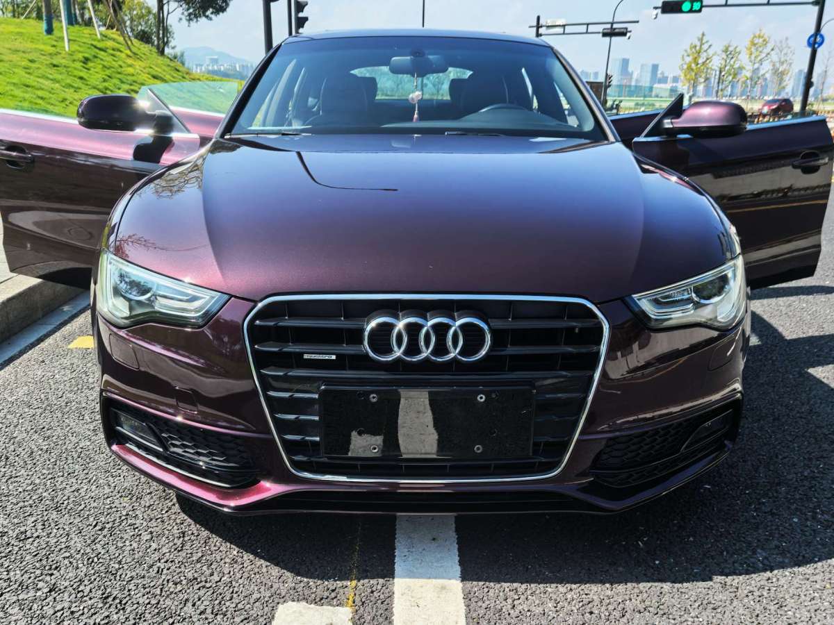 奧迪 奧迪A5  2013款 Sportback 40 TFSI圖片