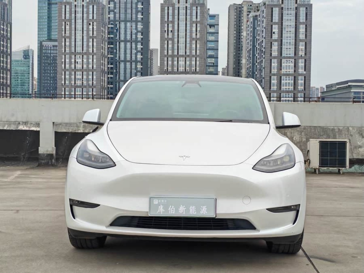 特斯拉 Model Y  2021款 標(biāo)準(zhǔn)續(xù)航后驅(qū)版圖片