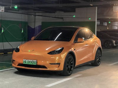 2021年5月 特斯拉 Model 3 長續(xù)航全輪驅(qū)動版 3D7圖片