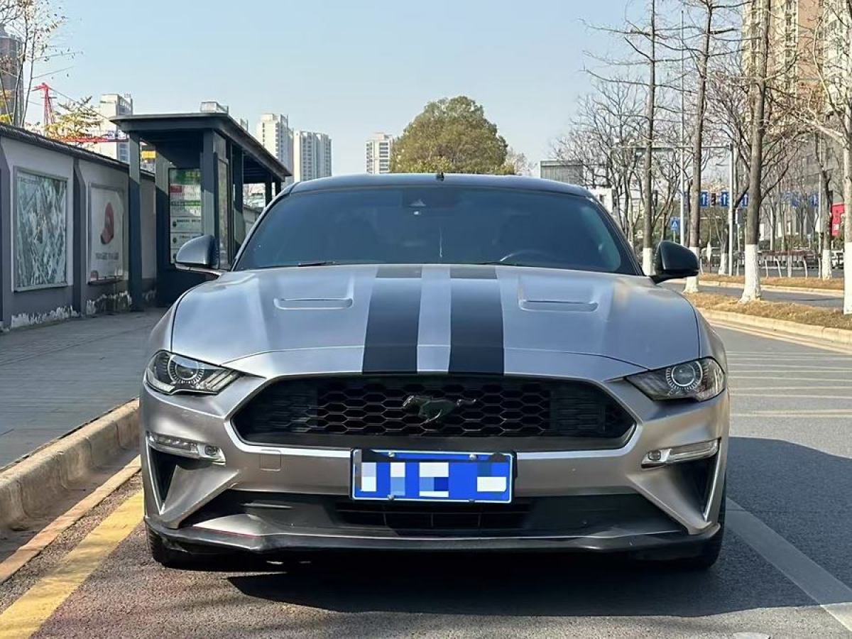 福特 Mustang  2019款 2.3L EcoBoost圖片