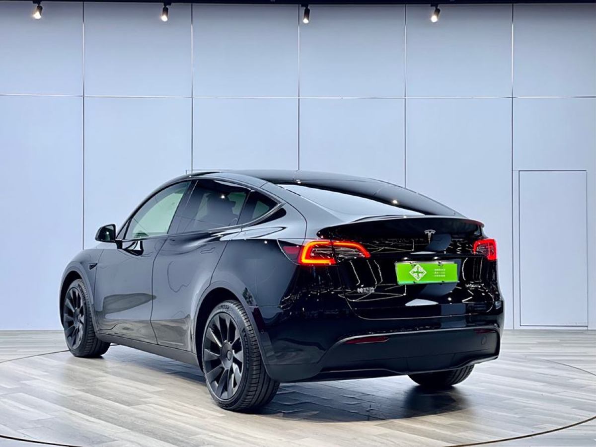 特斯拉 Model Y  2022款 改款 長(zhǎng)續(xù)航全輪驅(qū)動(dòng)版圖片