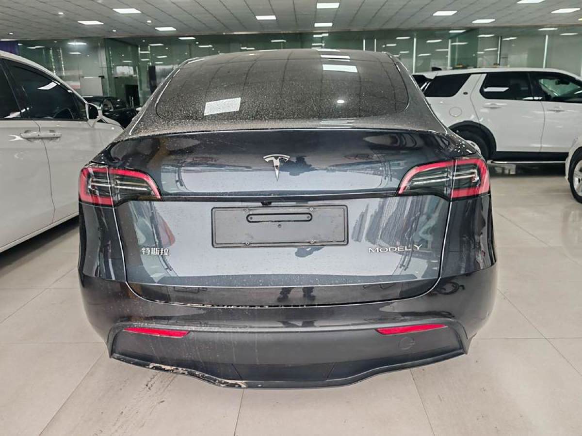 特斯拉 Model 3  2020款 改款 長續(xù)航后輪驅動版圖片