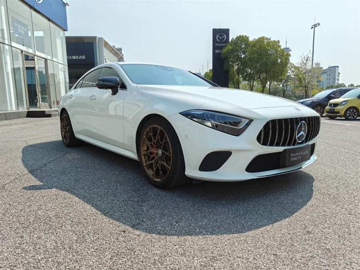 奔馳 奔馳CLS級  2018款 CLS 300 動感型圖片