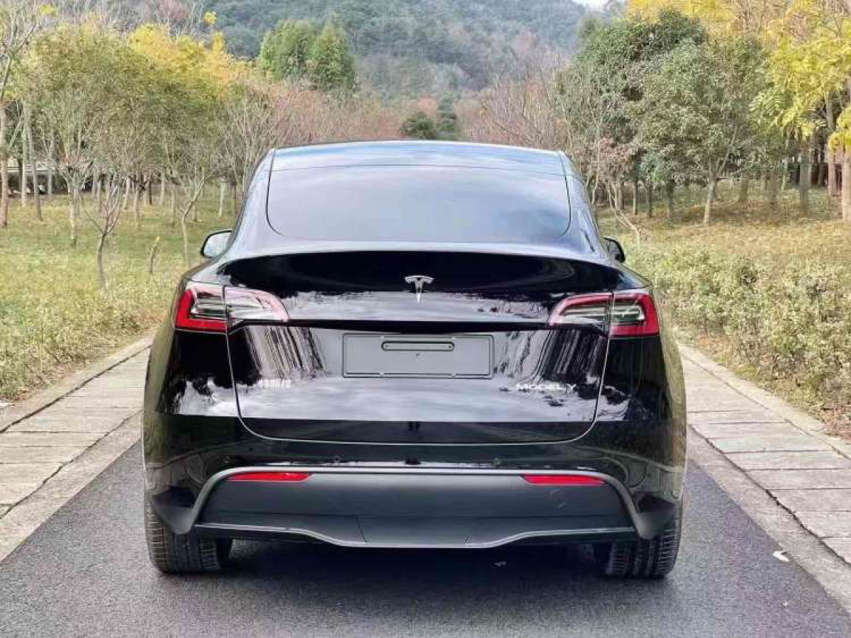 特斯拉 model y 2021款 標準續航後驅升級版圖片