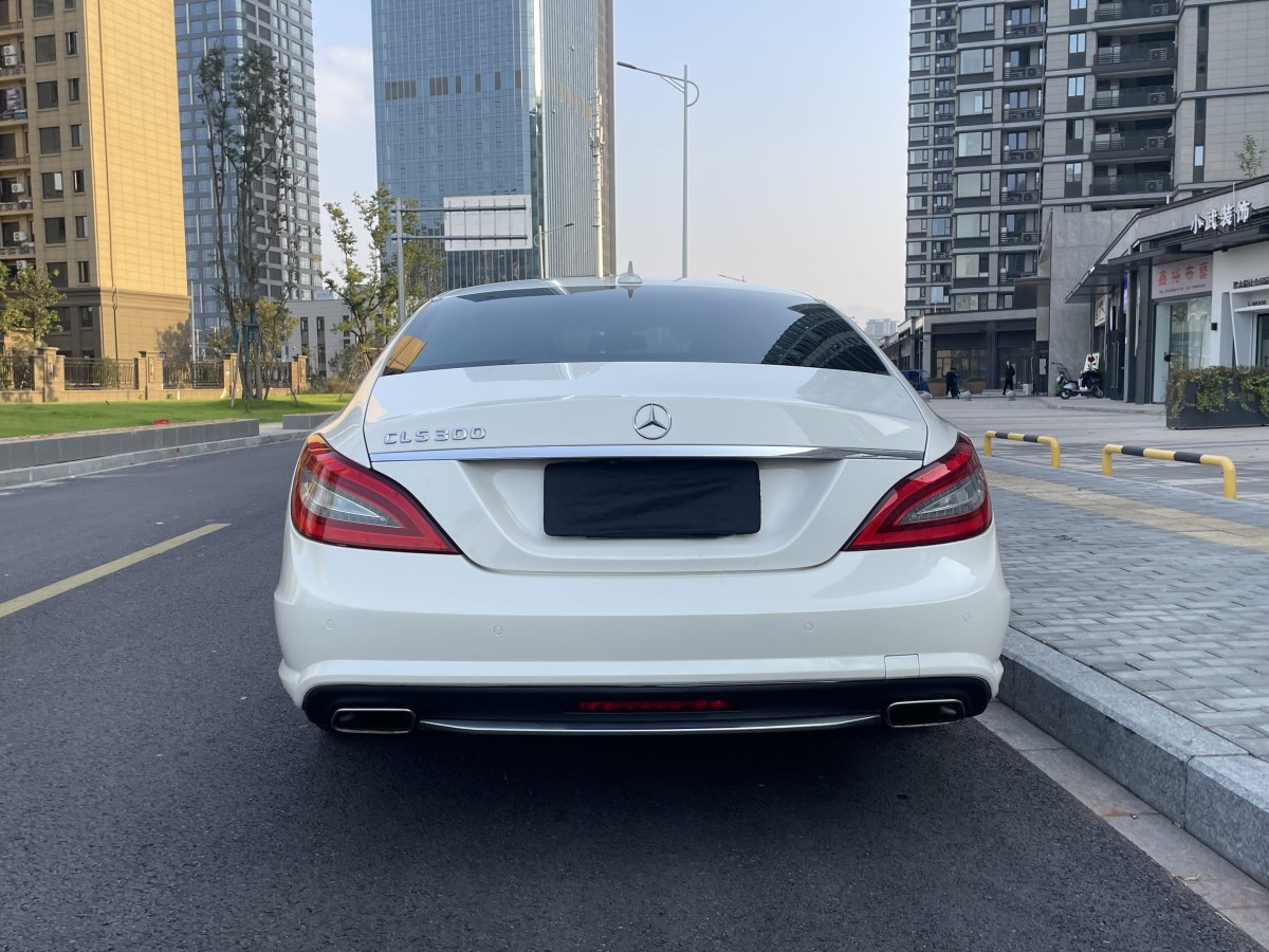 奔馳 奔馳CLS級  2012款 CLS 300 CGI圖片