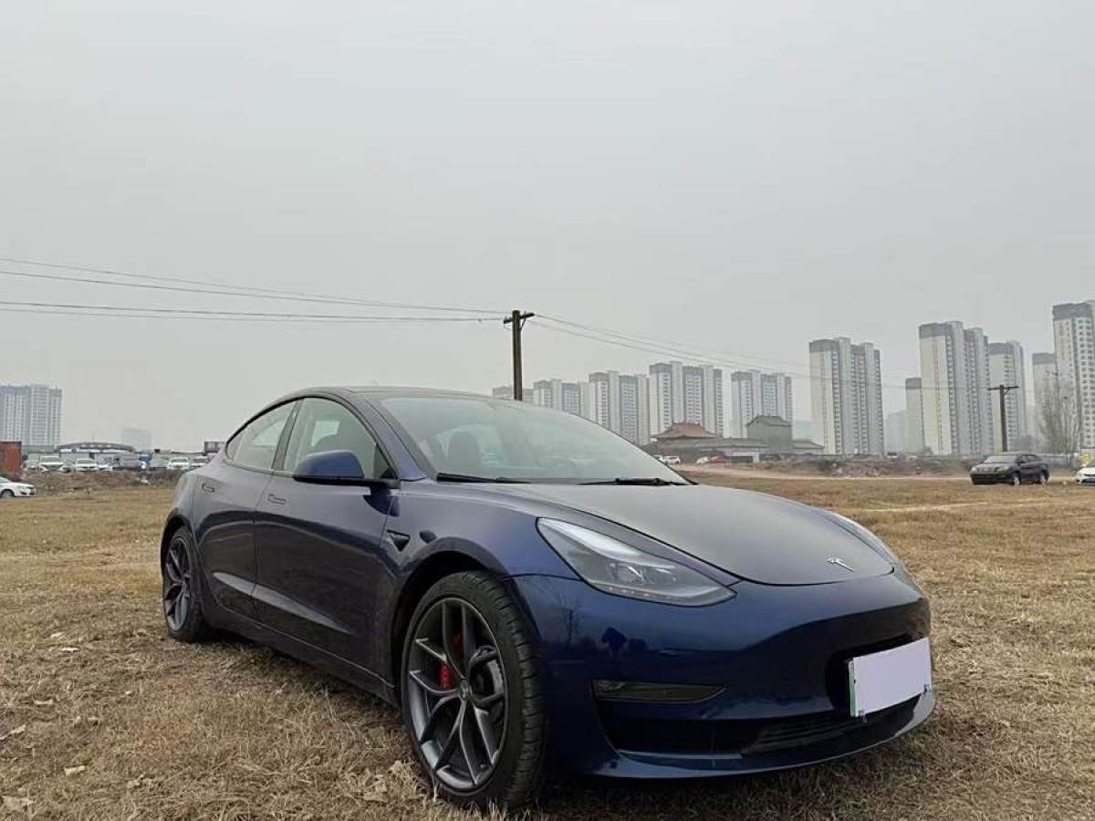 2022年10月特斯拉 Model Y  2022款 Performance高性能全輪驅(qū)動(dòng)版