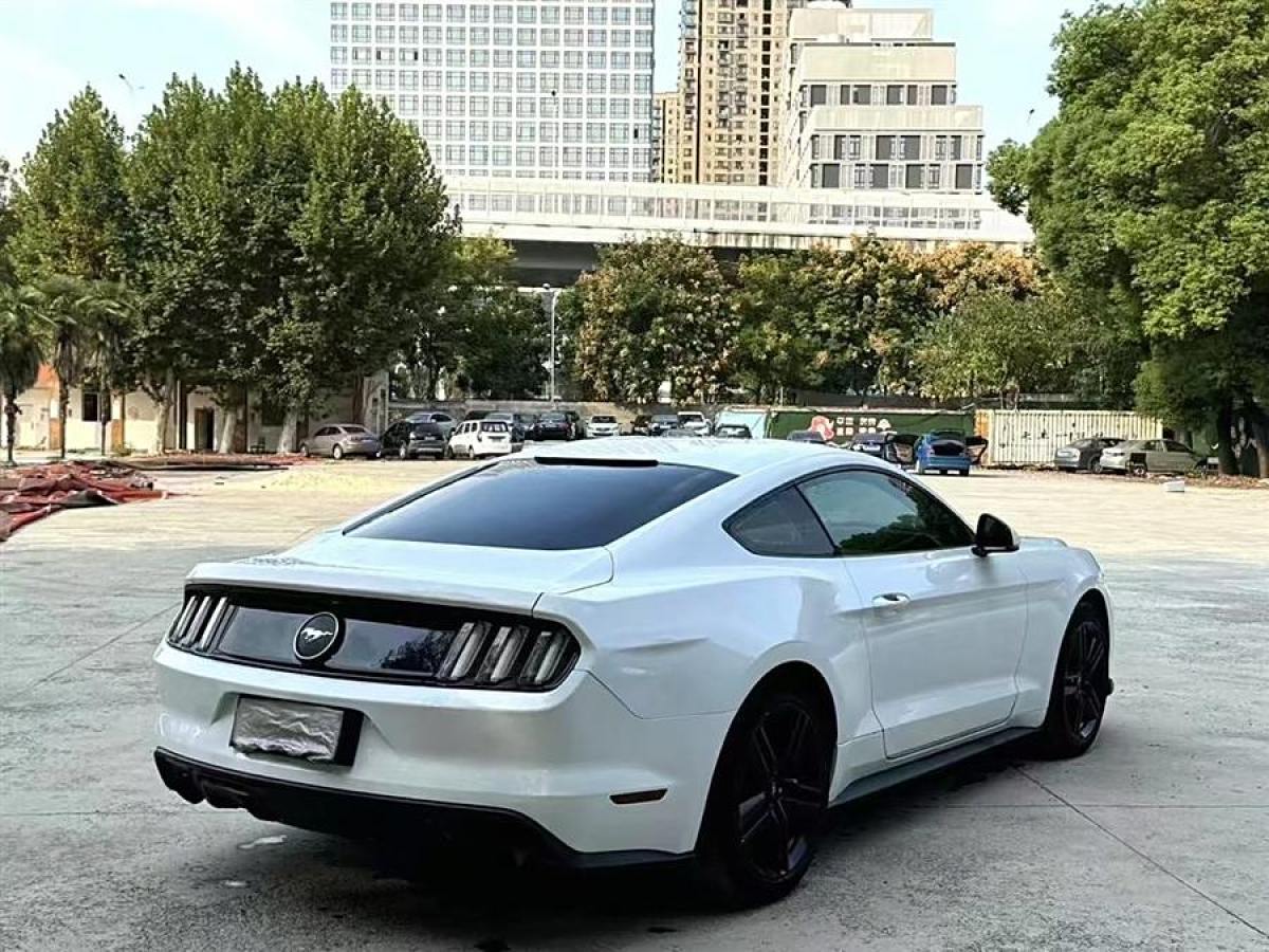 福特 Mustang  2015款 2.3T 性能版圖片