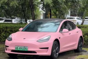 Model 3 特斯拉 標(biāo)準(zhǔn)續(xù)航后驅(qū)升級(jí)版