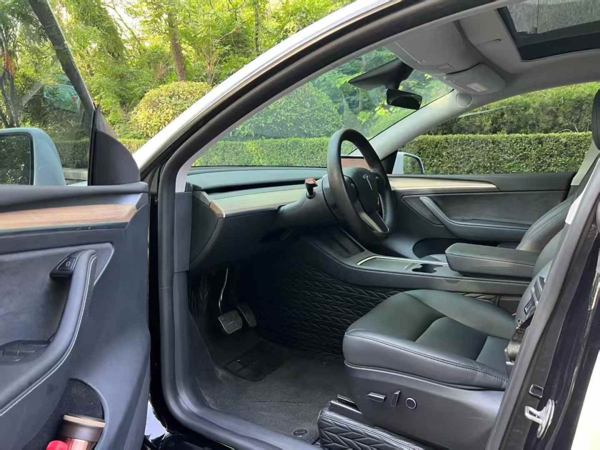 特斯拉 Model Y  2024款 Performance高性能版圖片