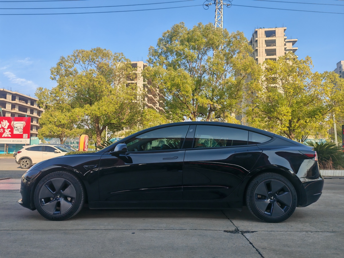 特斯拉 Model 3  2021款 標(biāo)準(zhǔn)續(xù)航后驅(qū)升級版 3D6圖片