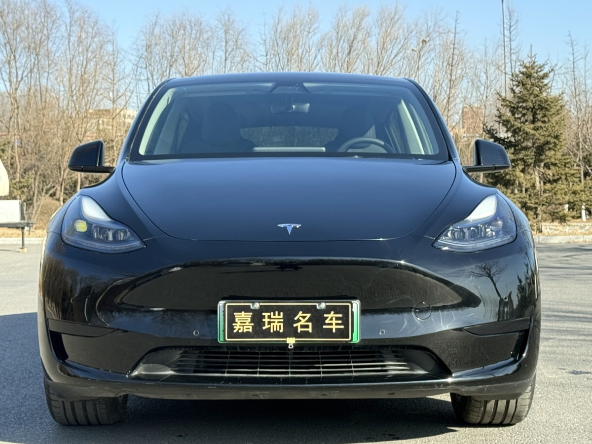 特斯拉 Model Y  2022款 改款 后輪驅(qū)動版圖片