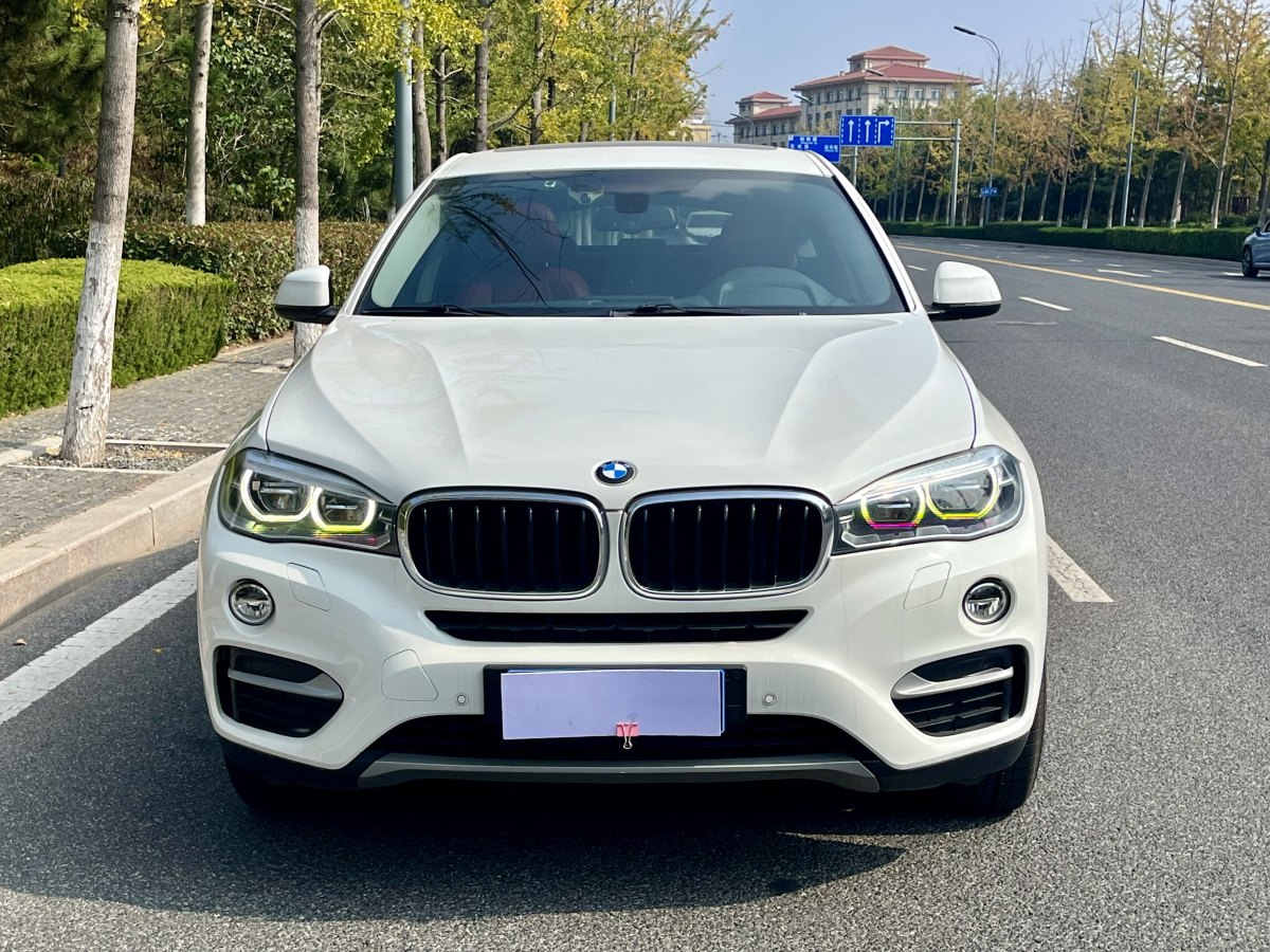 2019年1月寶馬 寶馬X6  2017款 xDrive35i 領(lǐng)先型