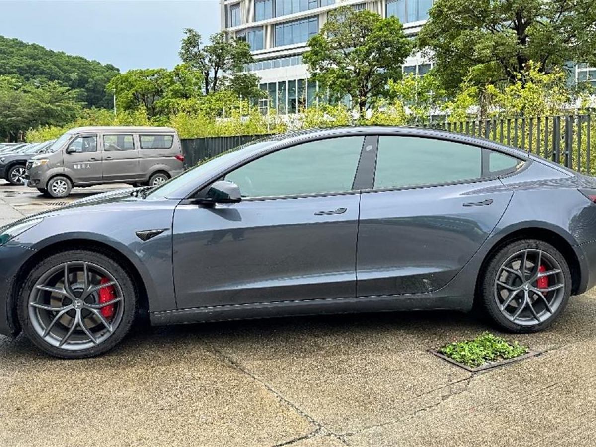 特斯拉 Model 3  2022款 Performance高性能全輪驅(qū)動(dòng)版圖片