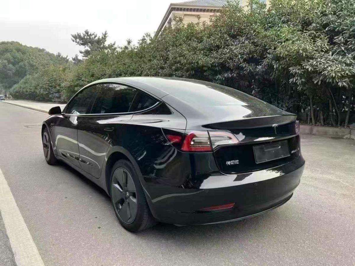 特斯拉 Model Y  2021款 標(biāo)準(zhǔn)續(xù)航后驅(qū)版圖片