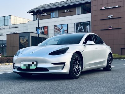 2020年6月 特斯拉 Model 3 標(biāo)準(zhǔn)續(xù)航后驅(qū)升級版圖片